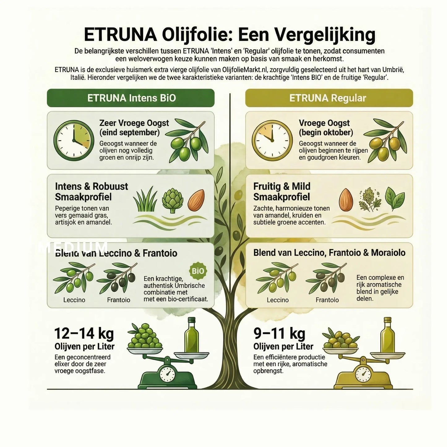Etruna Intense (BIO)