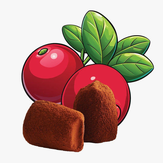 Cranberry chocolate truffles - bulk