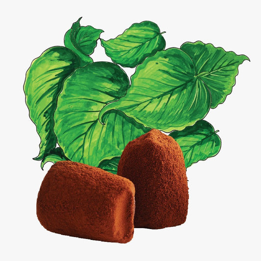 Mint Chocolate truffles - Bulk