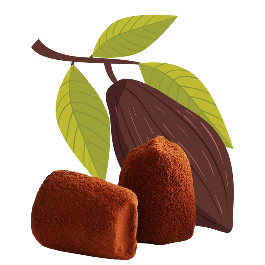 Cacao nibs chocolate truffles - bulk